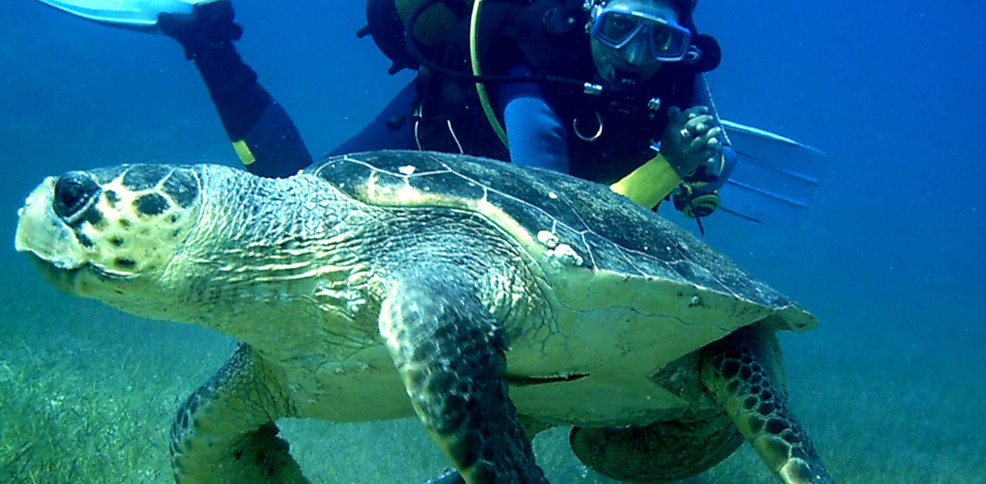 Diving Tour